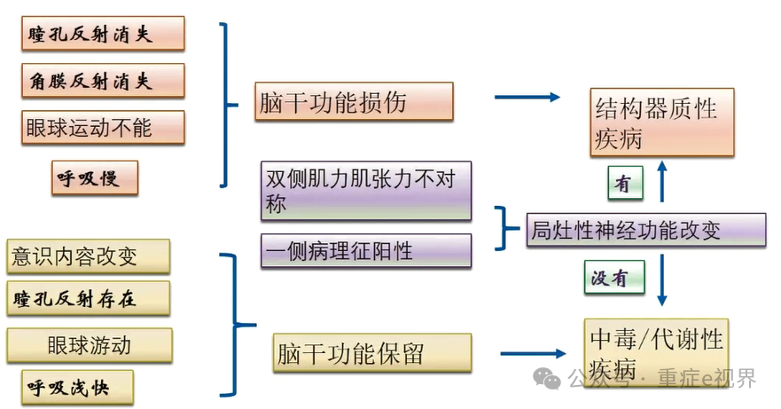 使用多模态神经监测的实践标准
