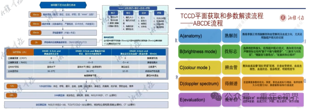 使用多模态神经监测的实践标准