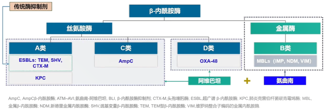 CRE流行病学