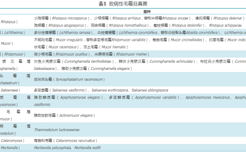 【标准与讨论】中国毛霉病临床诊疗专家共识（2022）