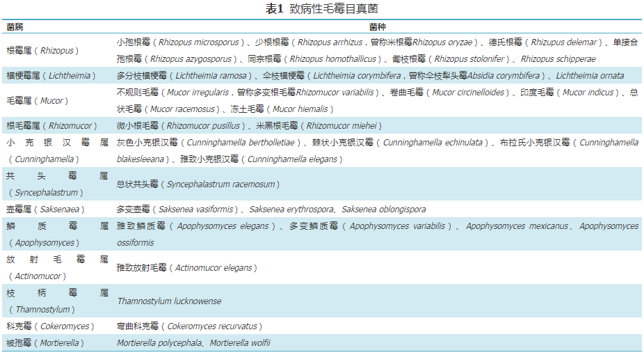 【标准与讨论】中国毛霉病临床诊疗专家共识(2022)