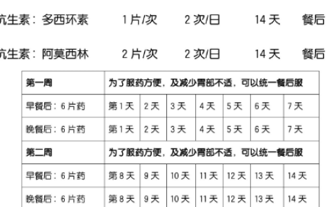 中国幽门螺杆菌感染治疗指南
