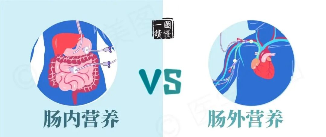 【营养指南】中国重症患者肠外营养治疗临床实践专家共识(2024)I 6个部分17个推荐共识