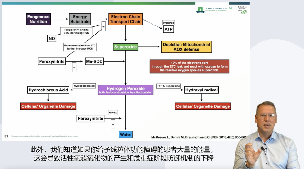 Arthur van Zanten：2023重症营养研究热点解析