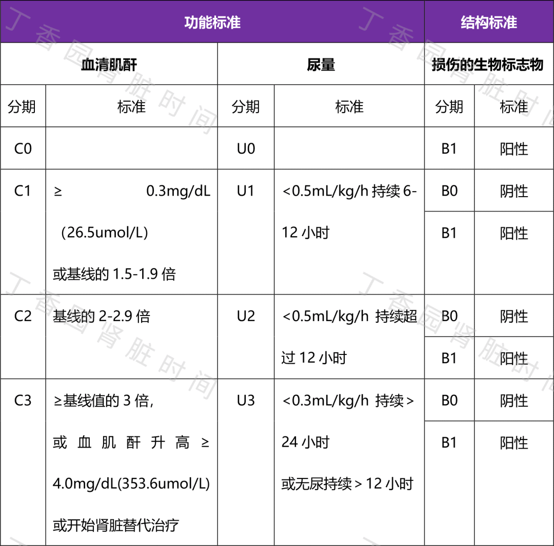 2026 KDIGO 急性肾损伤指南发布