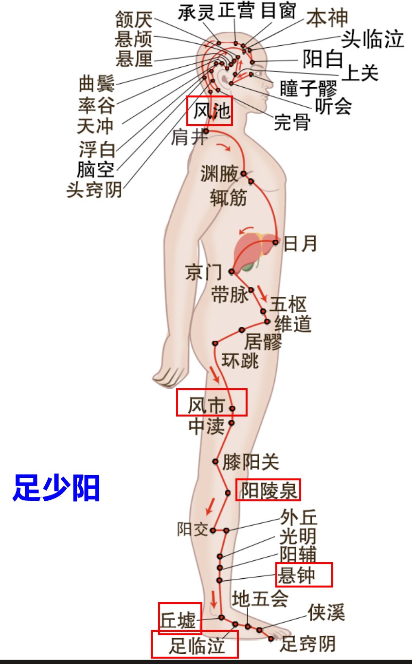 按经络敲穴位,自己搞定偏头痛