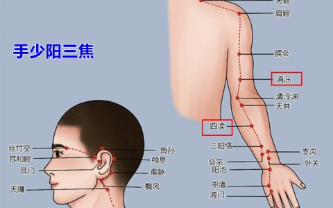 按经络敲穴位，自己搞定偏头痛