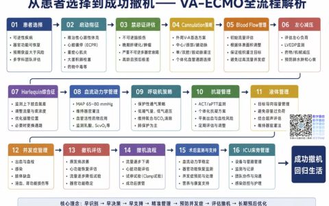 VA-ECMO全流程解析：1 什么是VA-ECMO