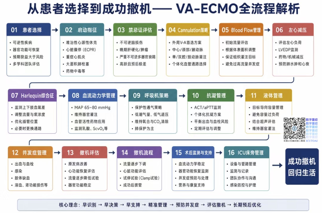 VA-ECMO全流程解析:1 什么是VA-ECMO