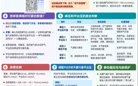 动态顺应性与静态顺应性——机械通气患者顺应性：肺变硬了，还是气道堵了？