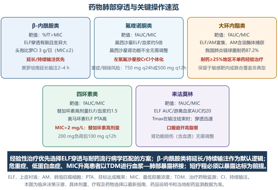 社区获得性肺炎抗菌药物PK/PD临床应用指导(2026)