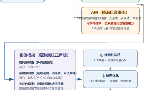 社区获得性肺炎抗菌药物PK/PD临床应用指导（2026）