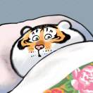 王冲冲的头像