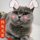 张慧的头像