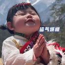 🐇的头像