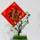 遠山的头像